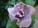 P1180016