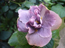 P1180018