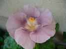 P1180019