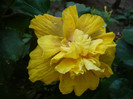 P1180022