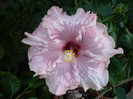 P1180023