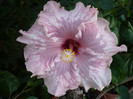 P1180024