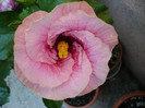 P1180042