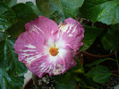 P1180043