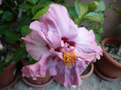 P1180044