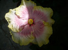 P1180046