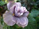 P1180051
