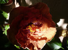 P1180056