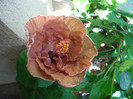 P1180060