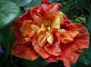 P1180064