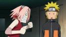 images (7)