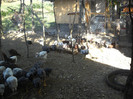 DSCN2738