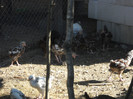 DSCN2744