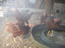 DSCN2755