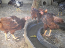DSCN2756