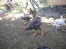 DSCN2760