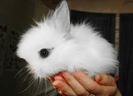 images (11)
