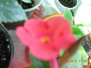 02.09.2012 004