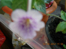 02.09.2012 008