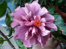 P1180081