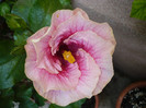 P1180082