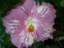 P1180083