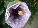 P1180085