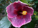 P1180088