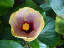 P1180093