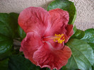 P1180102