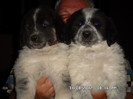 SAM_0443