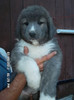 SAM_0460