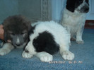 SAM_0466