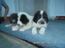 SAM_0467