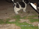SAM_0437