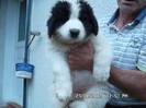 SAM_0434