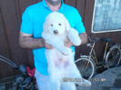 SAM_0429