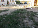 DSCN8862