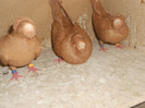 DSCN0144