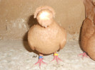 DSCN0145