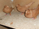 DSCN0146