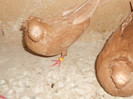 DSCN0147