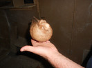 DSCN0157