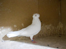 DSCN0164
