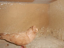 DSCN0097