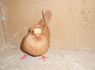 DSCN0099