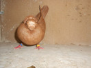DSCN0101