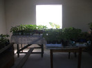 DSCF5163
