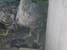 Picture 4732