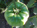 BEEFSTEAK-HAWAIIAN PINEAPLE